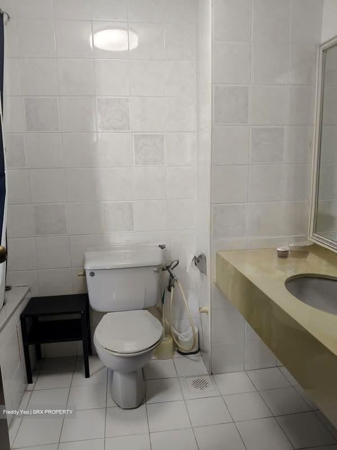 Pasir View Park (D5), Condominium #605905481